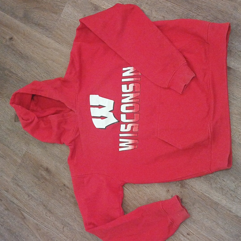 Wisconsin Hoodie
